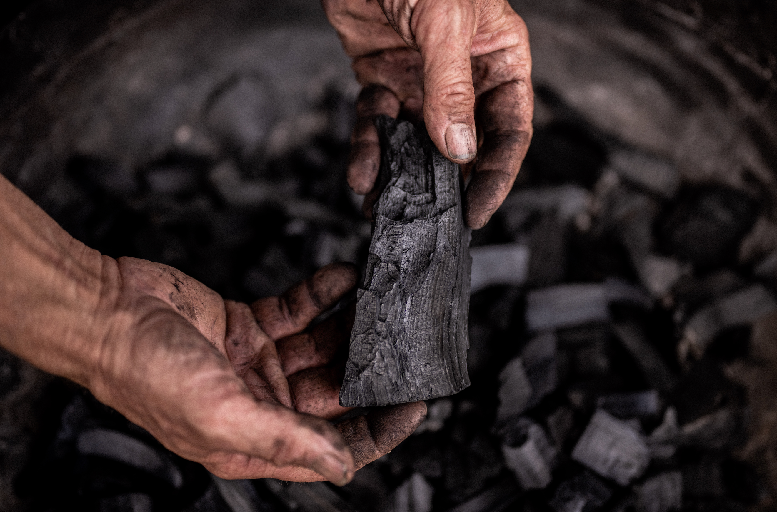 Hands holding a piece of homemade charcoal in a fire pit