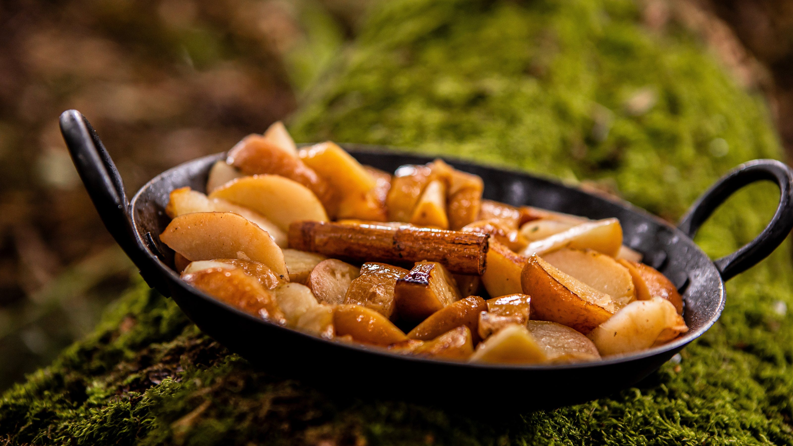 Fried apples in a black skillet on a mossy surface