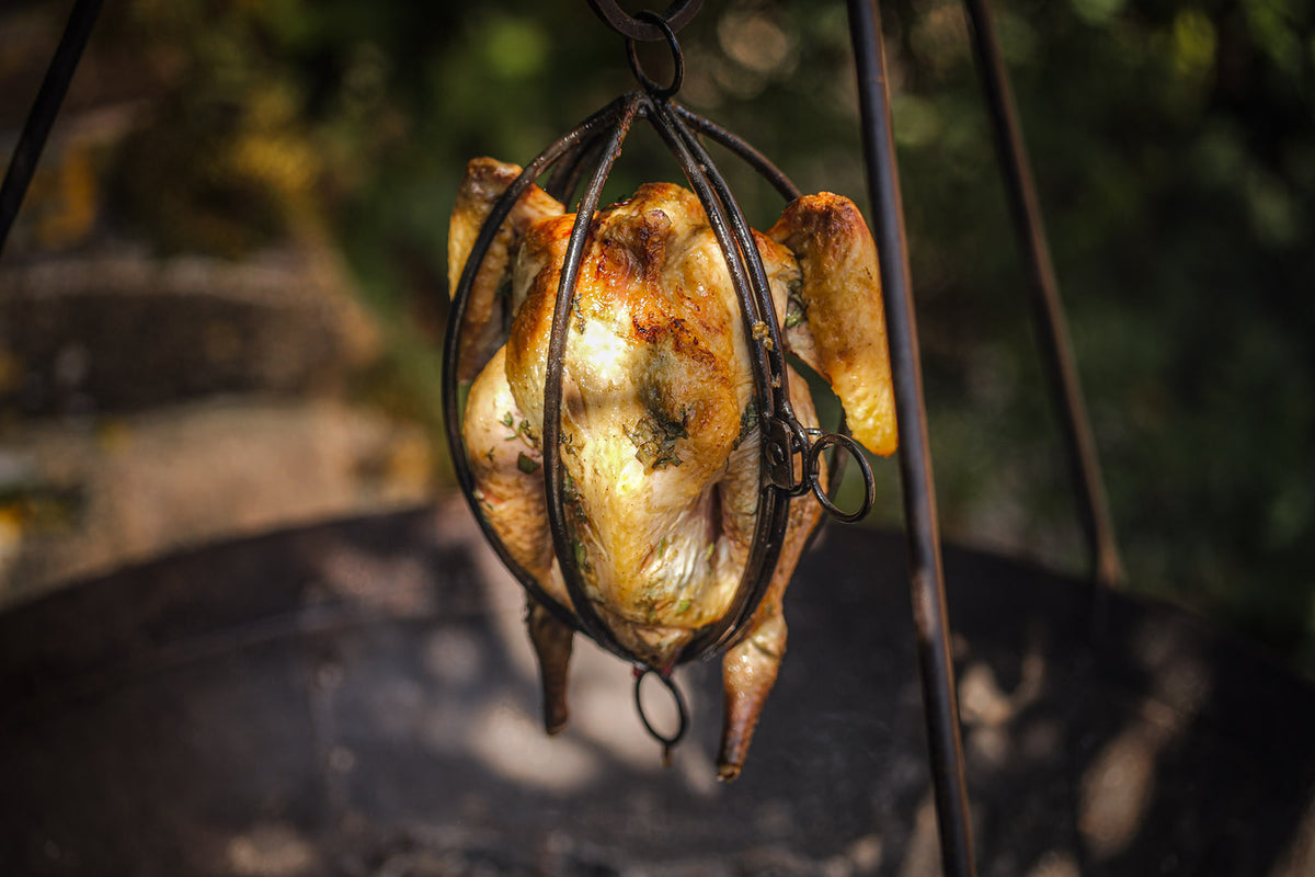 a guinea fowl hanging in a metal cage suspended over a firepit.
