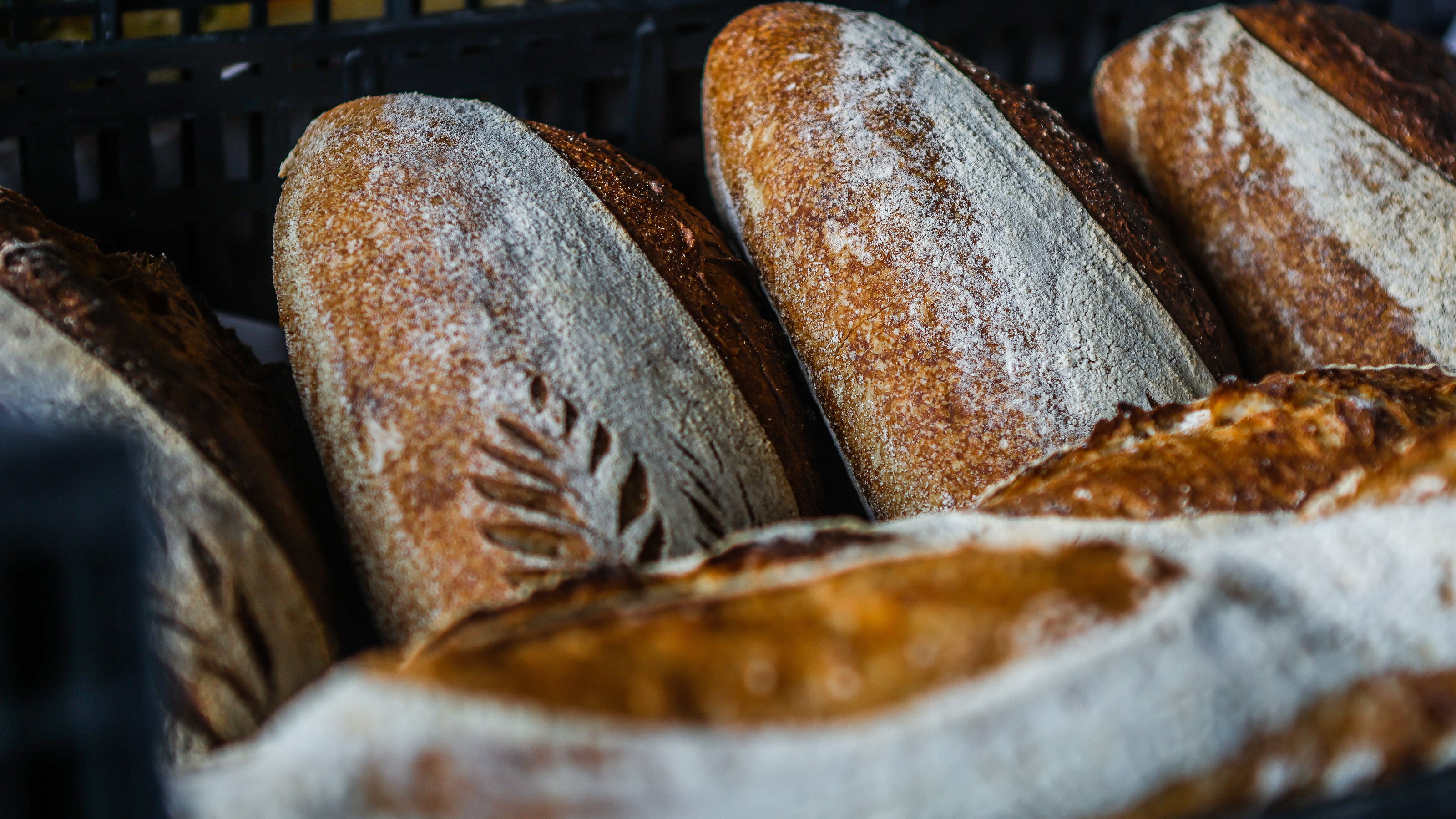 Loaves of bread in a basket with a rustic appearance