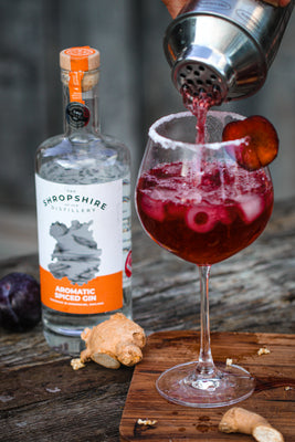 Spiced Plum & Ginger Gin Fizz