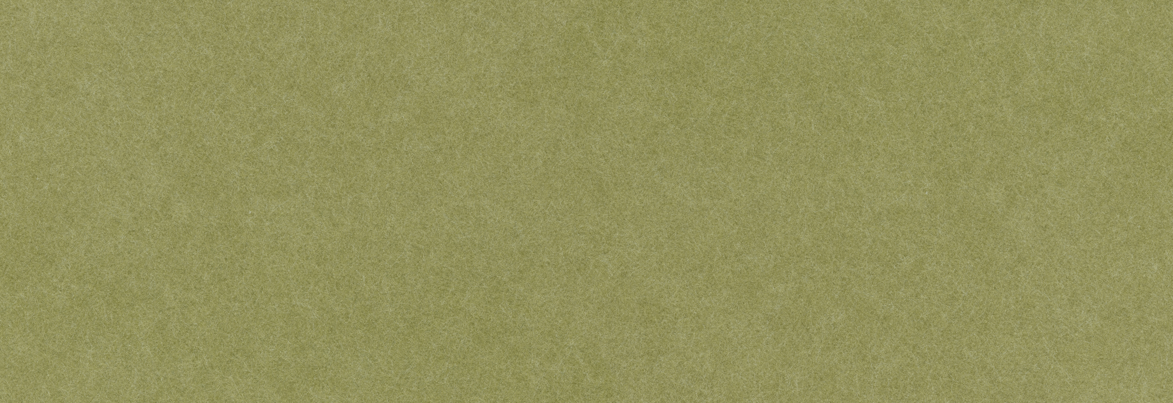 Solid green color swatch