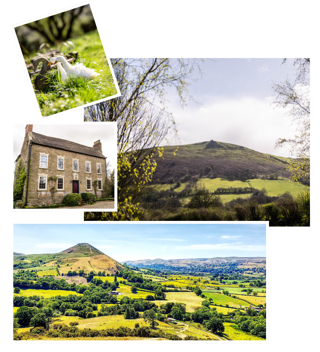 Collage of a house, fields, ducks and scenic views of hills and valleys.