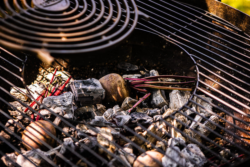 How to | Choose Sustainable Charcoal for Your BBQ