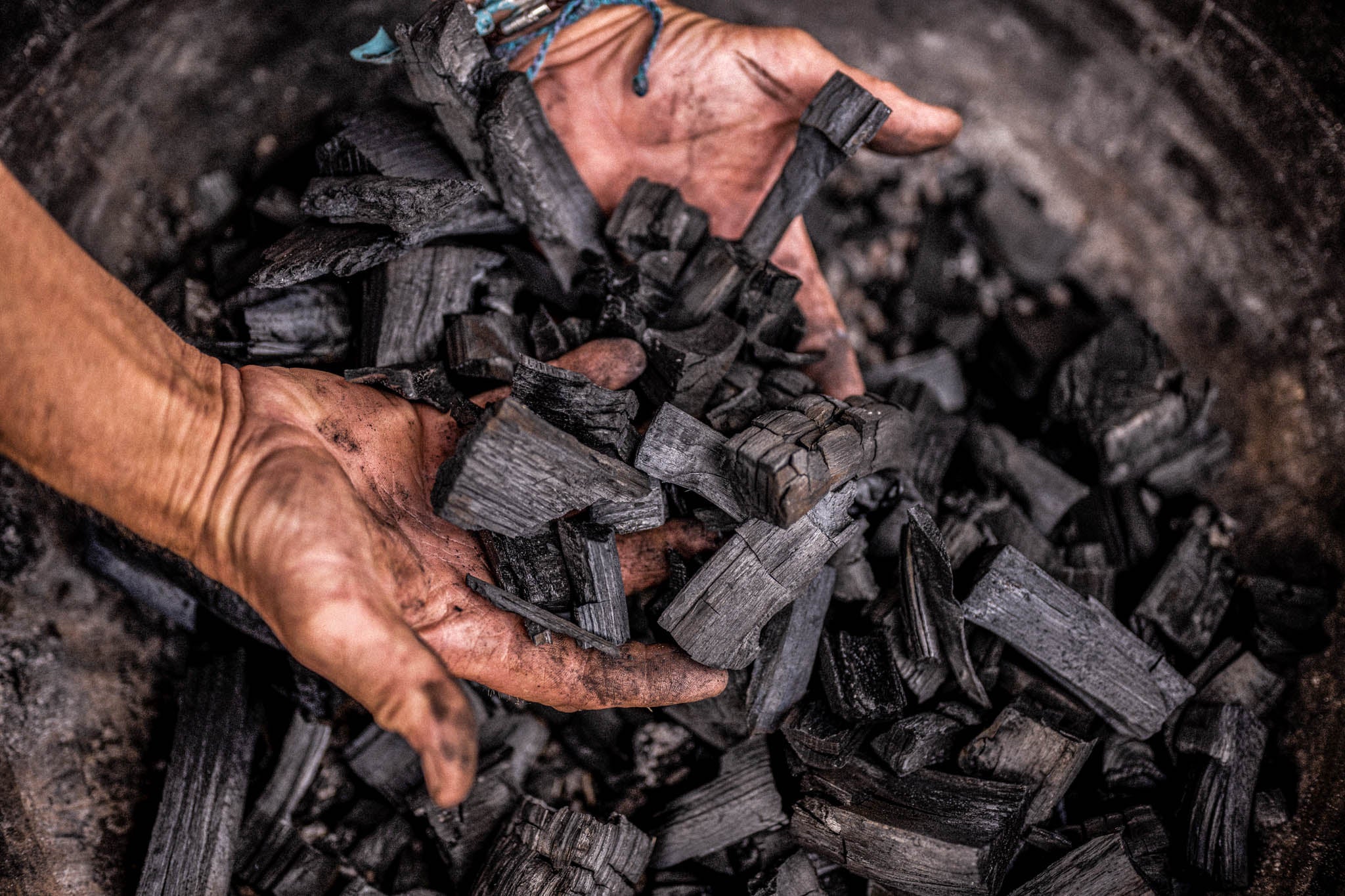 Hands holding freshly made charcoal pieces above a bed of blackened charcoal and ash, showing the results from a charcoal maker process.