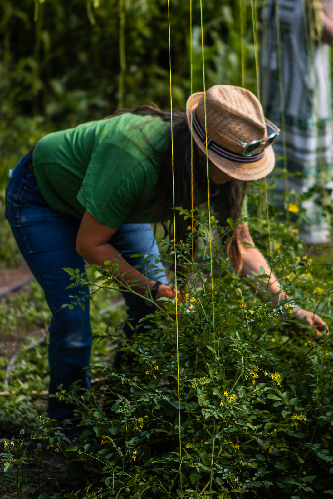 A woman in a green t-shirt, blue jeans, and a straw hat gardening in a lush green outdoor garden.