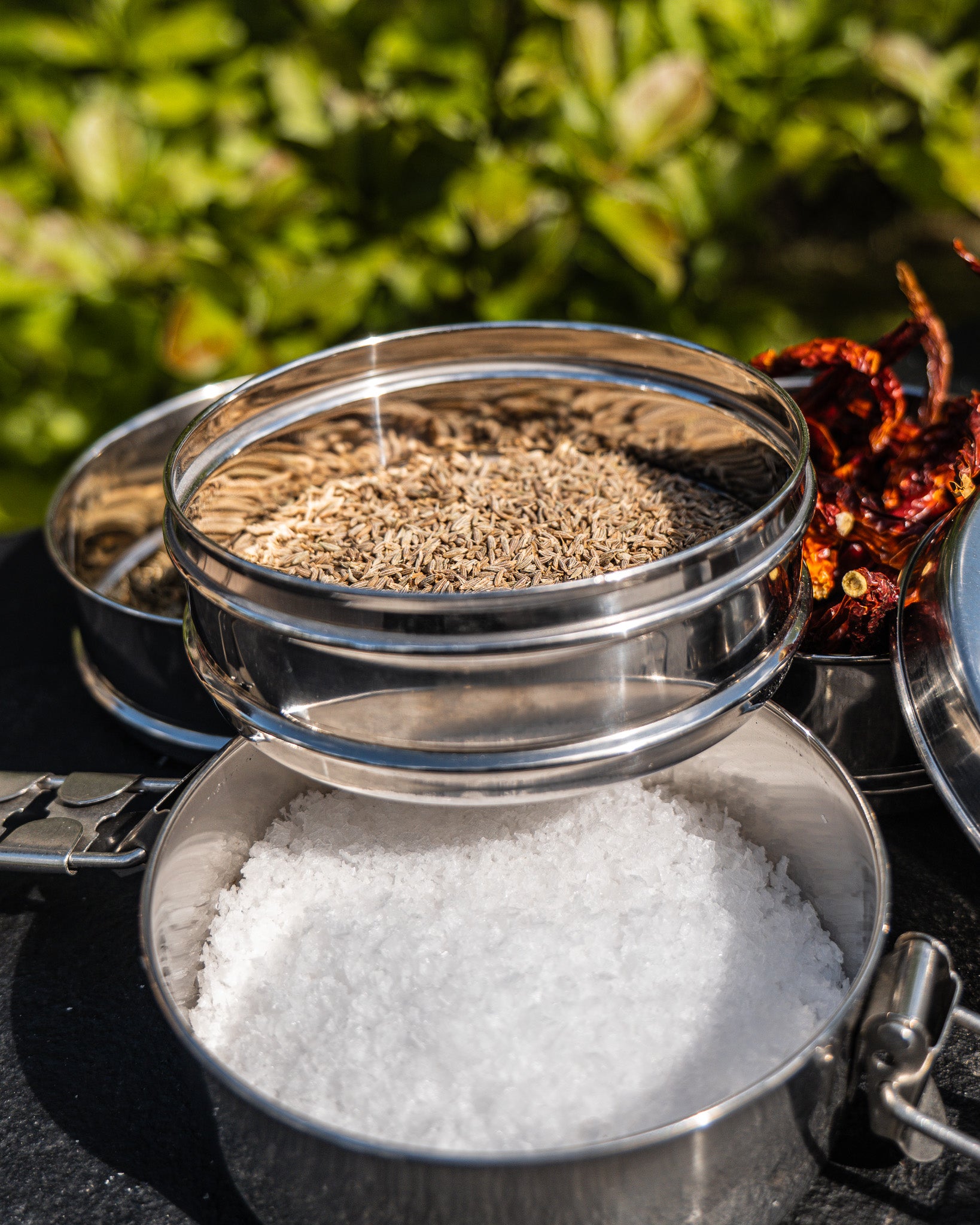 Two metal tiffin tin containers with spices and herbs on a dark surface with greenery in the background