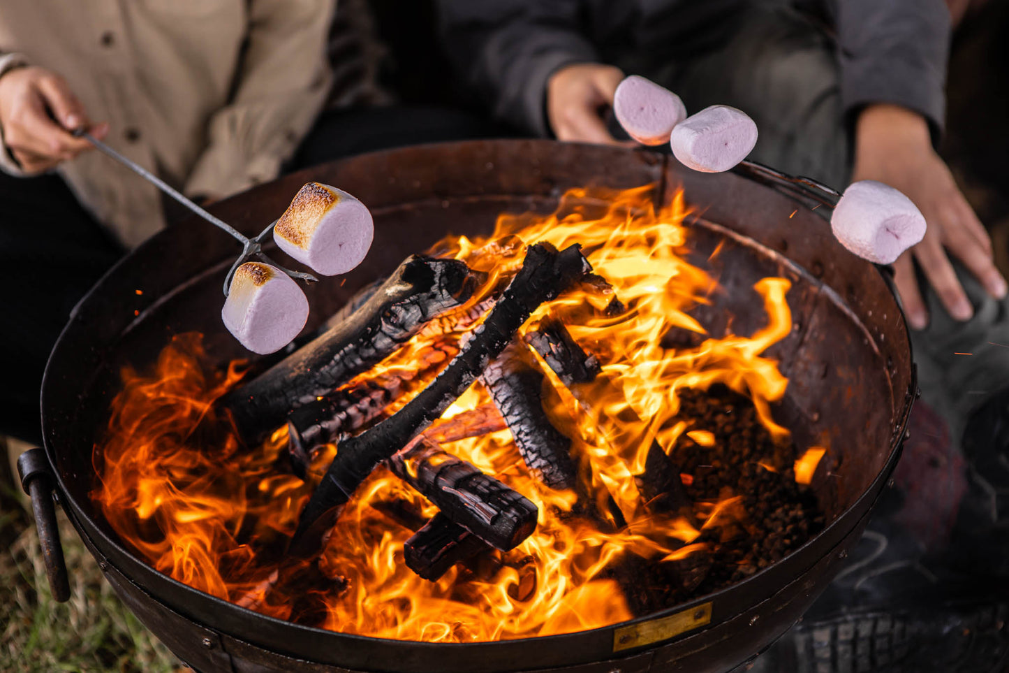 Marshmallows roasting on long metal toasting forks above a blazing outdoor fire pit with charred logs and bright flames.